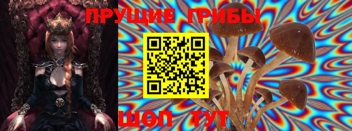 Псилоцибиновые грибы MAGIC MUSHROOMS  Вход с VPN  Нижневартовск  Галлюциногенные грибы MAGIC MUSHROOMS 